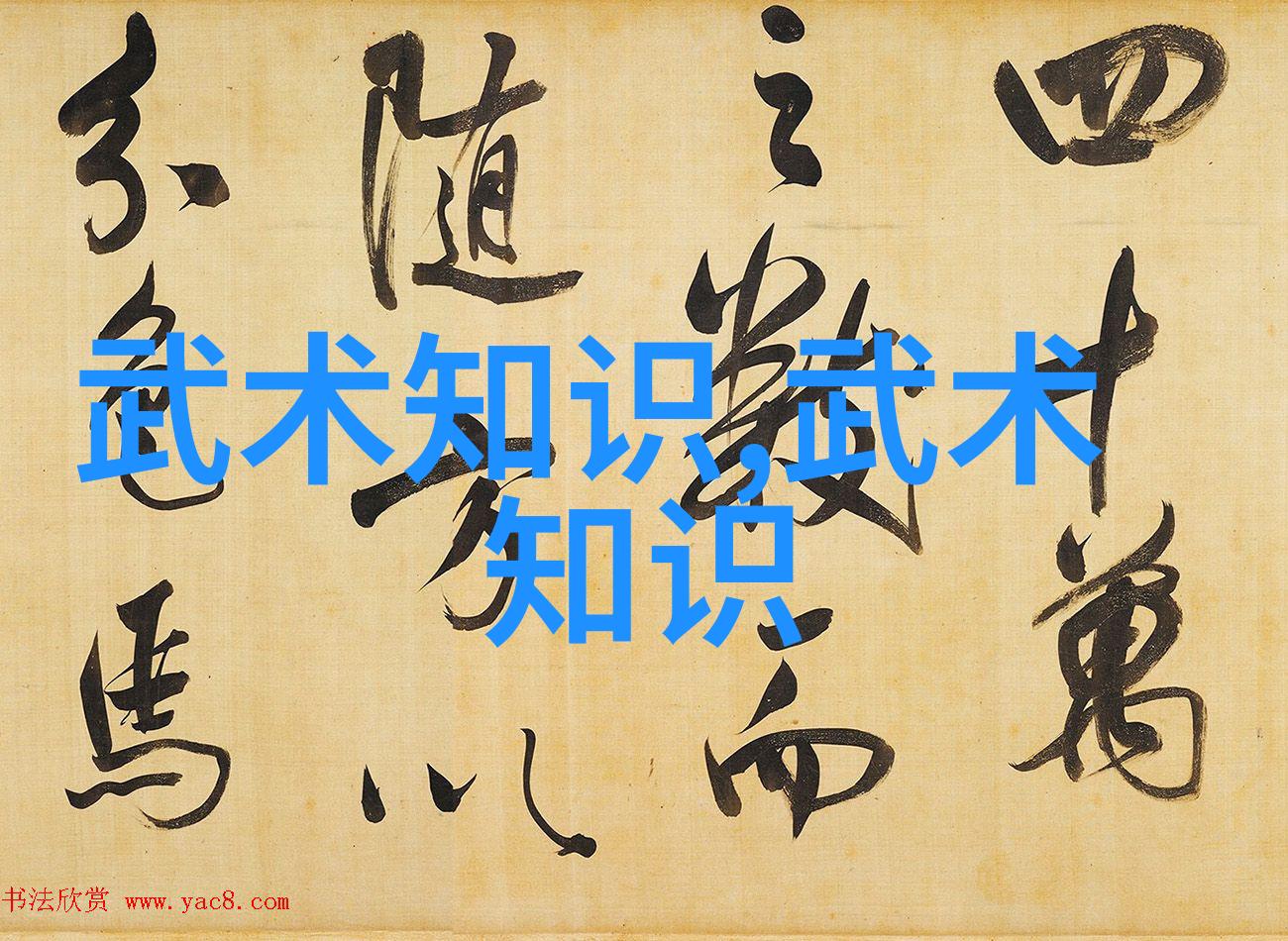 武林门派掌门人在社会的现状探究武氏太极拳的传承与实践