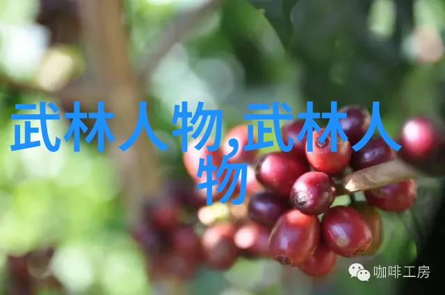 探索拳法源流古代哪些文化影响了现代武术