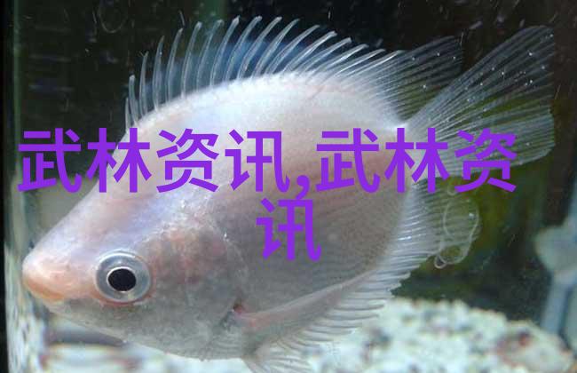 探秘天界上古八大仙境的神秘面纱