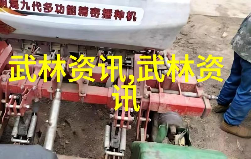 传承与创新如何正确理解少林武功秘籍大全