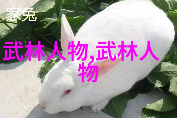 优根4399梦幻校园娇娇皇后炸弹台球挑战西部e网
