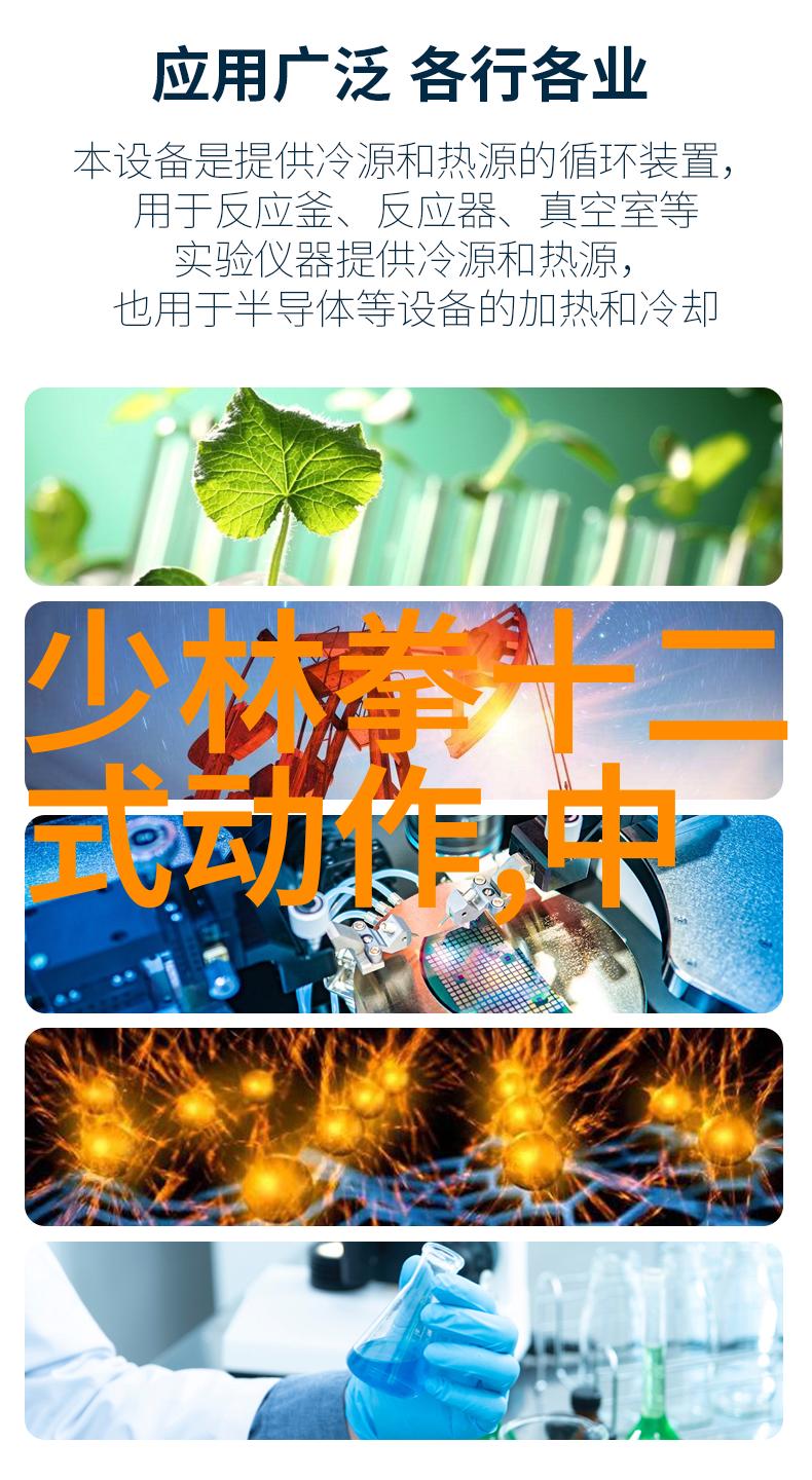 反复练习四十式太极拳口令如同心脏的跳动