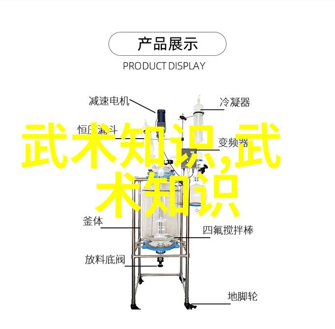 太极拳24式步履悠扬气韵悠长