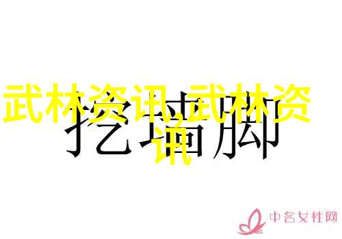 少林武功秘籍大全-悟空大师的绝学之谜解读少林武功秘籍大全
