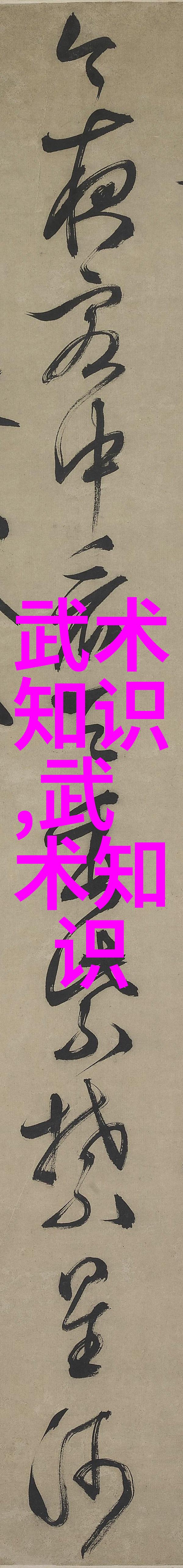 揭秘形意拳强派哪个流派最厉害