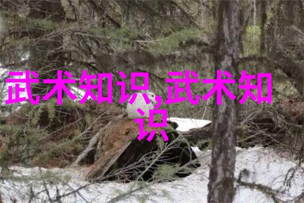 网络禁武热潮揭秘那些试图禁止武术的神秘网站