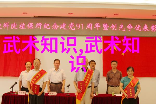 武术知识剑舞中的哲学与技巧