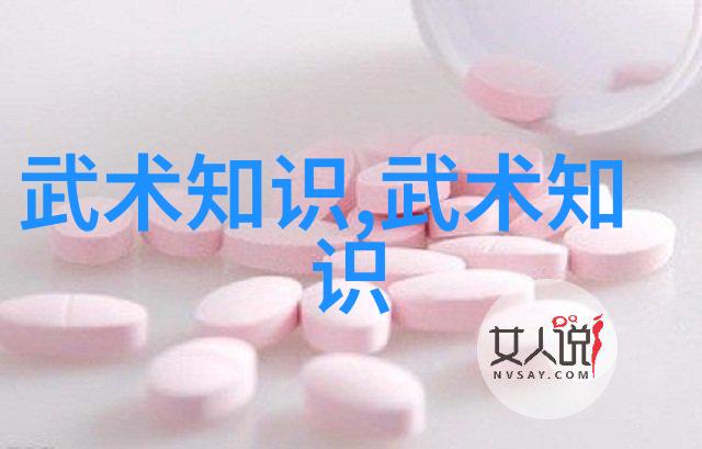 时间的见证者考察并分析不同朝代的老武术书特点
