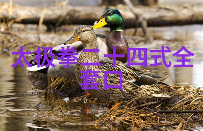 形意拳哪个流派厉害我亲眼见证的形意拳大师们