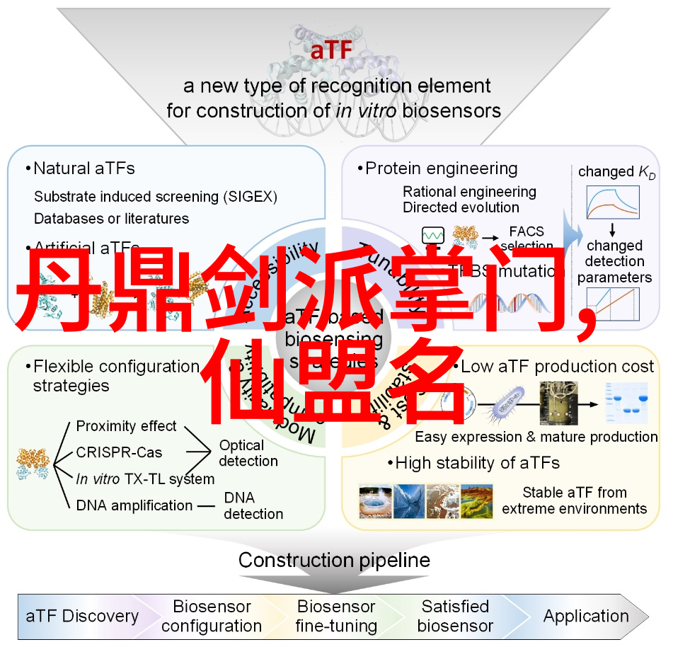 武林门派哪个最厉害揭秘不是金庸笔下的那几个你可能会错过真正的强者