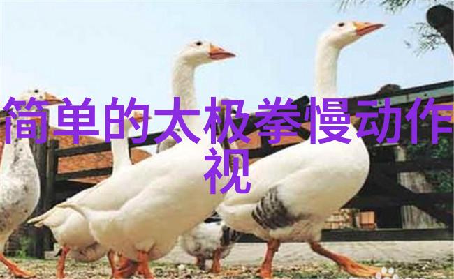 功夫大全精选招式与拳法秘籍