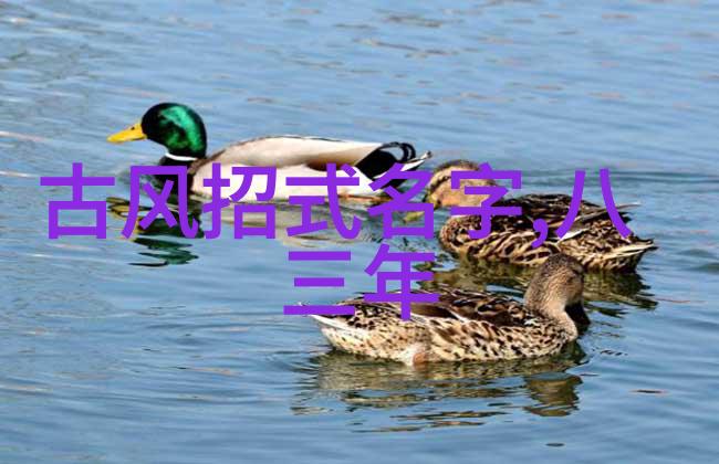 面对学业挫折何去何从重塑自我价值观的故事