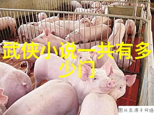 身法对比解析南京套路打法和广东花手技巧的不同之处