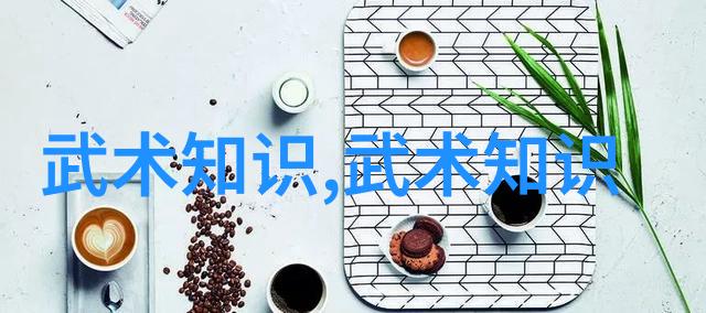 武学秘籍揭秘经典武术教程的精髓与实战技巧