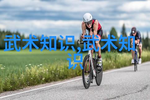 形意拳哪个流派厉害探秘蚩尤拳的神秘魅力