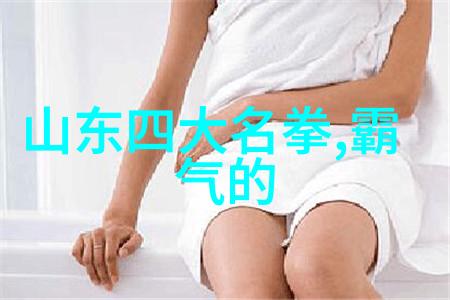 刀剑与拳脚解析传统武术中最具威力的技巧