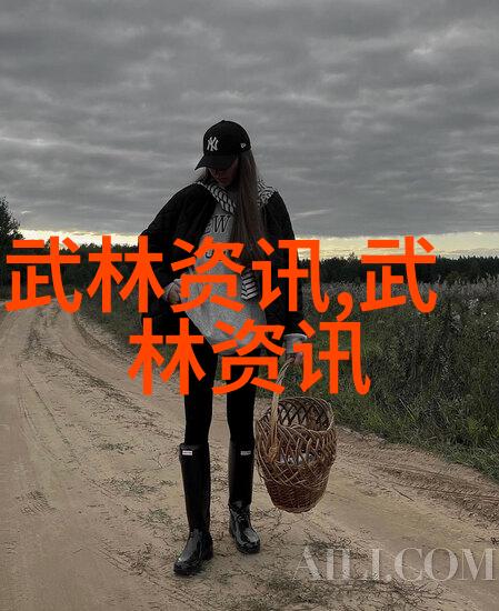 风云帮合页通背