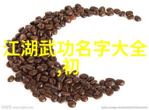 太极拳24式自学图解如何正确理解太极的内外兼修