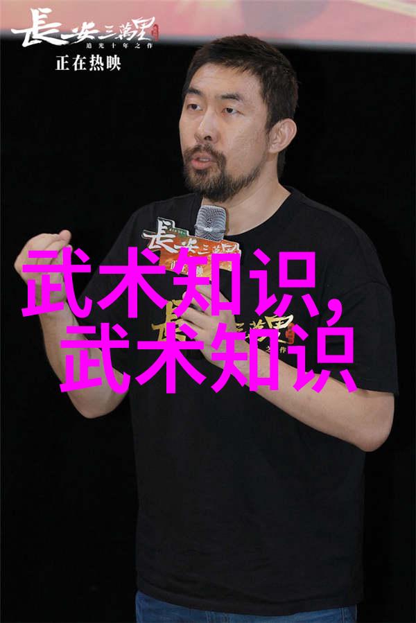 黔风秘笈寻踪贵州的武林古门