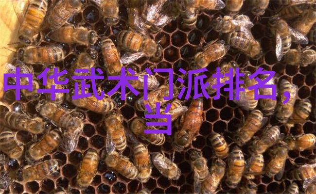 云巅拳林汇极拳