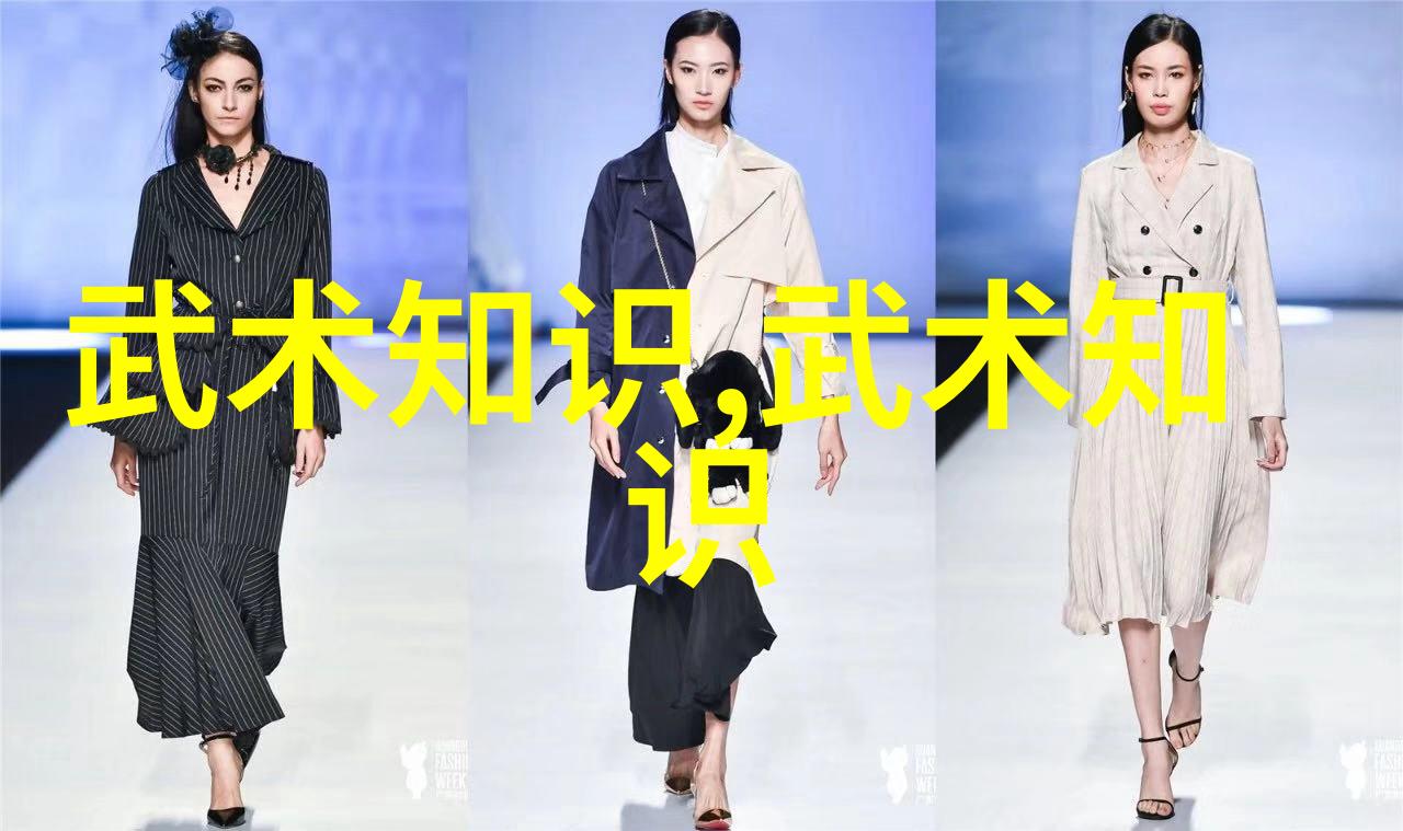 功夫秘籍教学武术练习技巧