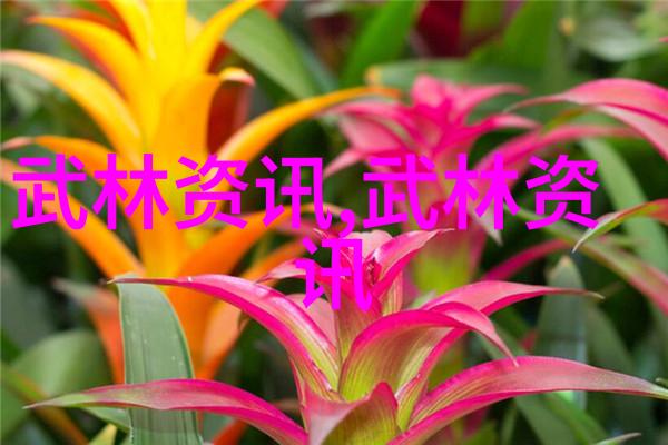 太极内功步罡踏斗世上最狠拳法如同烈焰中行走的猛虎潜藏其中的力量令人生畏