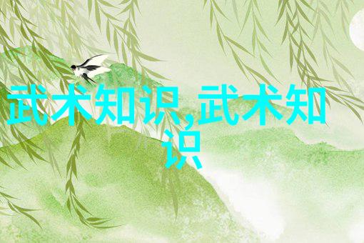 李雅轩太极拳论汇编中国功夫中的智慧与韧性融合犹如天籁之音在空中回荡