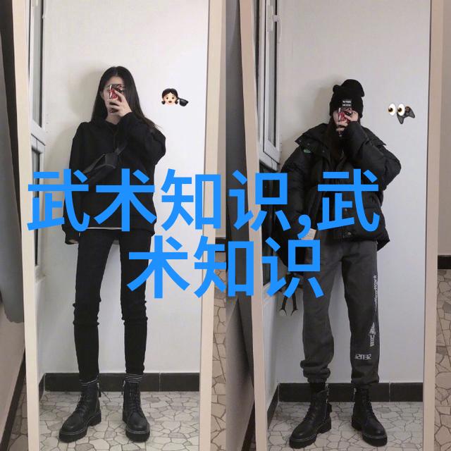 中国武术十大门派中的神秘力量太极螳螂拳