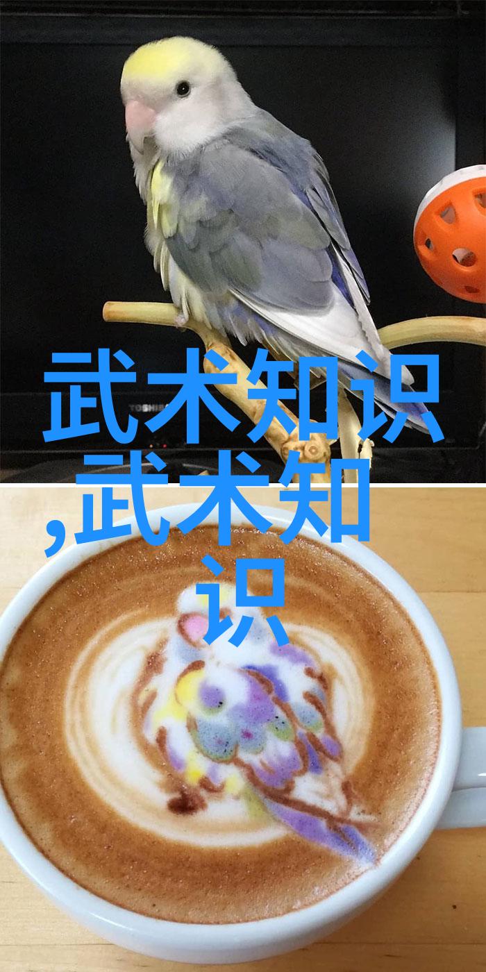 中国武术之巅十大内功神技