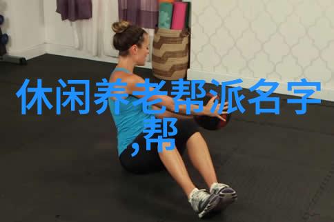 全球视角下的禁止使用武术平台讨论