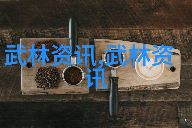 武林秘籍揭秘古老招式拳法的艺术与奥义