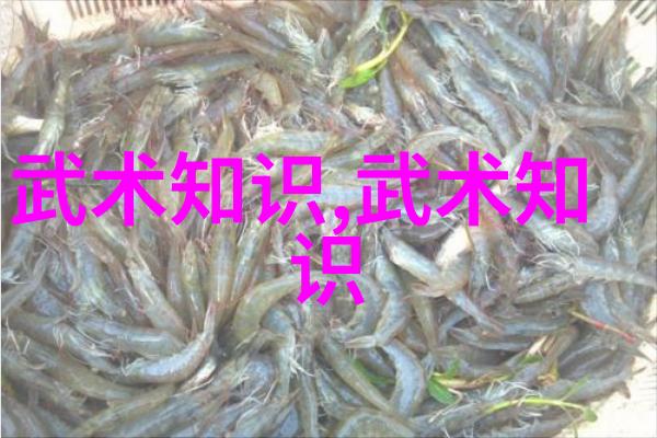 带诗意的帮派名字我们这帮好汉的秘密花园