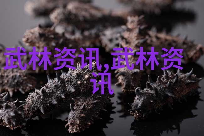 武术基础动作全解武术的12个基本动作详细介绍