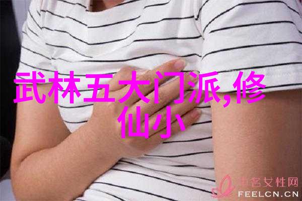 全国武术门派简明目录揭秘千年江湖中的传统功夫