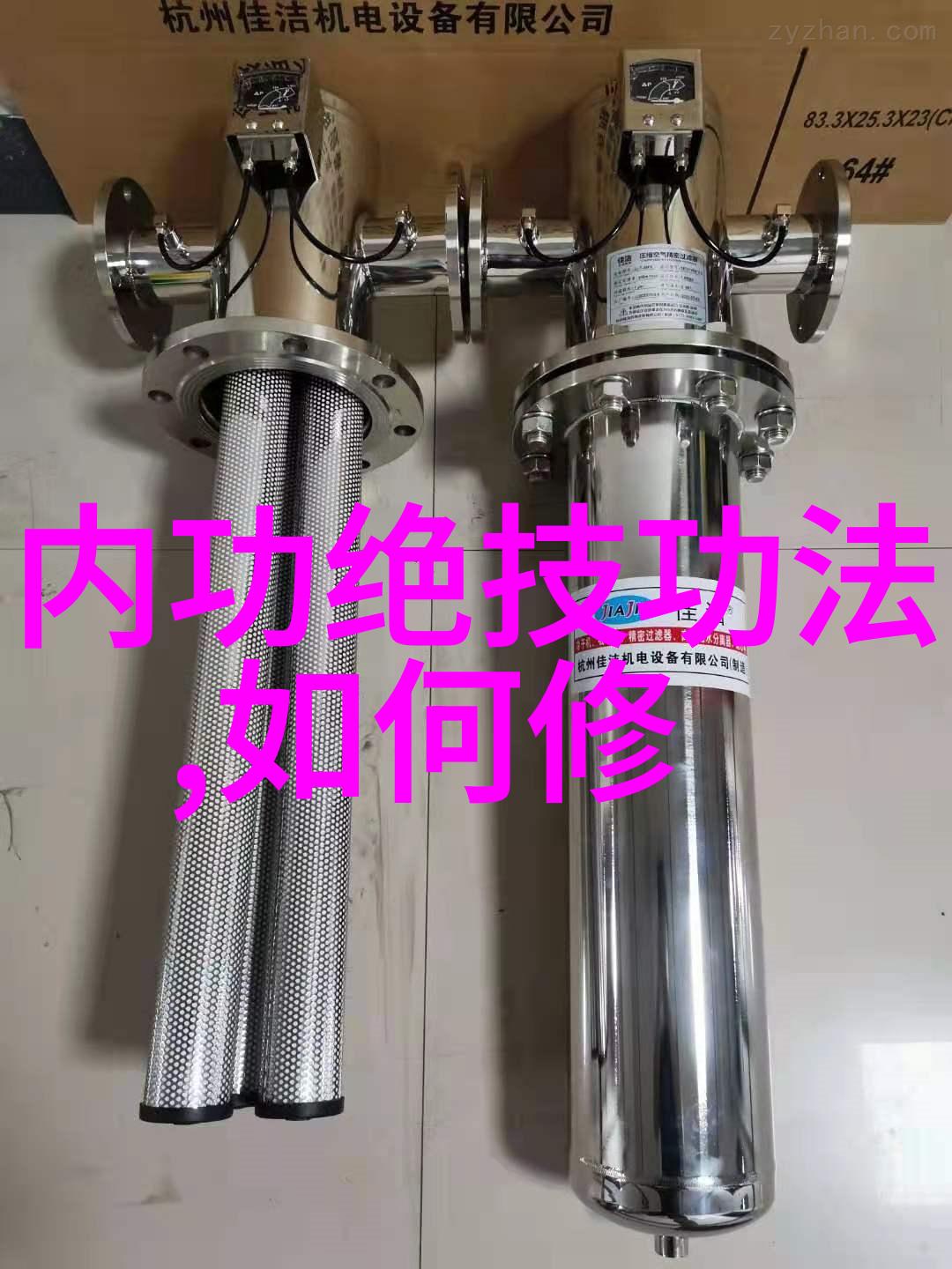 古秘盟无极拳之谜
