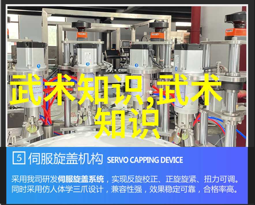 男人眼中的女人武功好剑舞轻盈心灵深藏