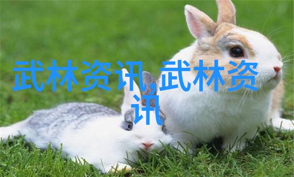 春风化雨中的拳击唤醒大地的力量