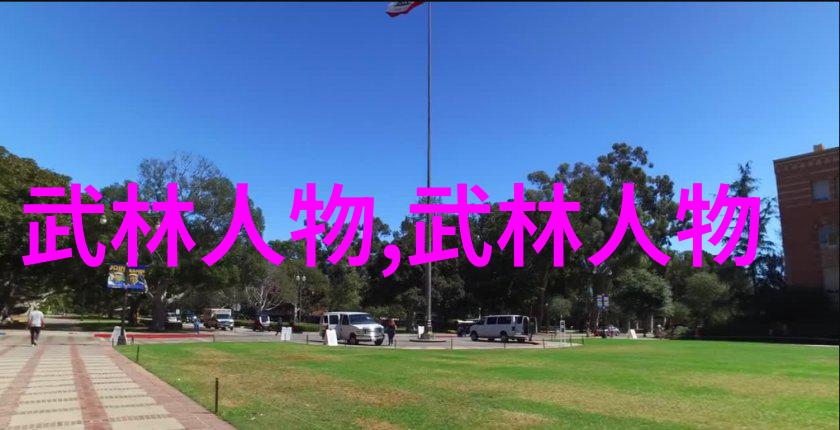 仙门秘传回族武术杨氏拳揭秘古老教门的绝学之谜