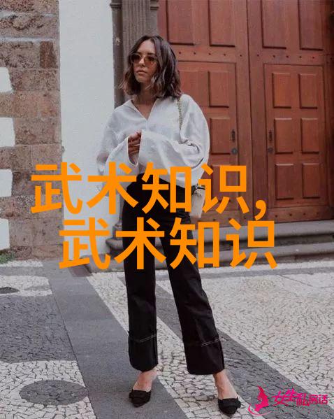 武术传承解锁内家外派功夫秘籍的艺术与实践
