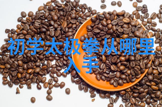自然中轻松行太极24式拳口令全套