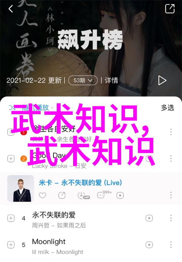 我应该选择什么样的武术来开始自学考虑因素有哪些