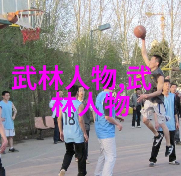 南拳与华拳哪一路更胜