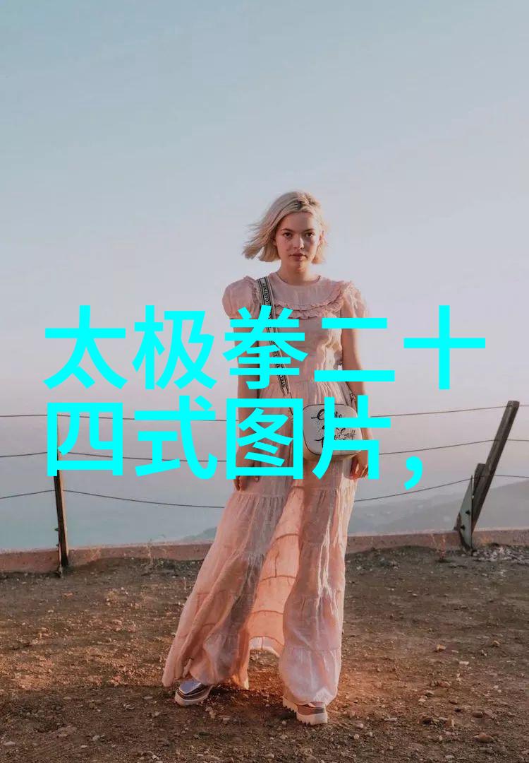 李小龙功夫教学视频中华武术的传承与实战技巧