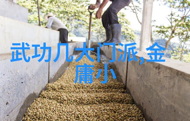 我来教你揭秘武林高手的绝技所有武功名称大全