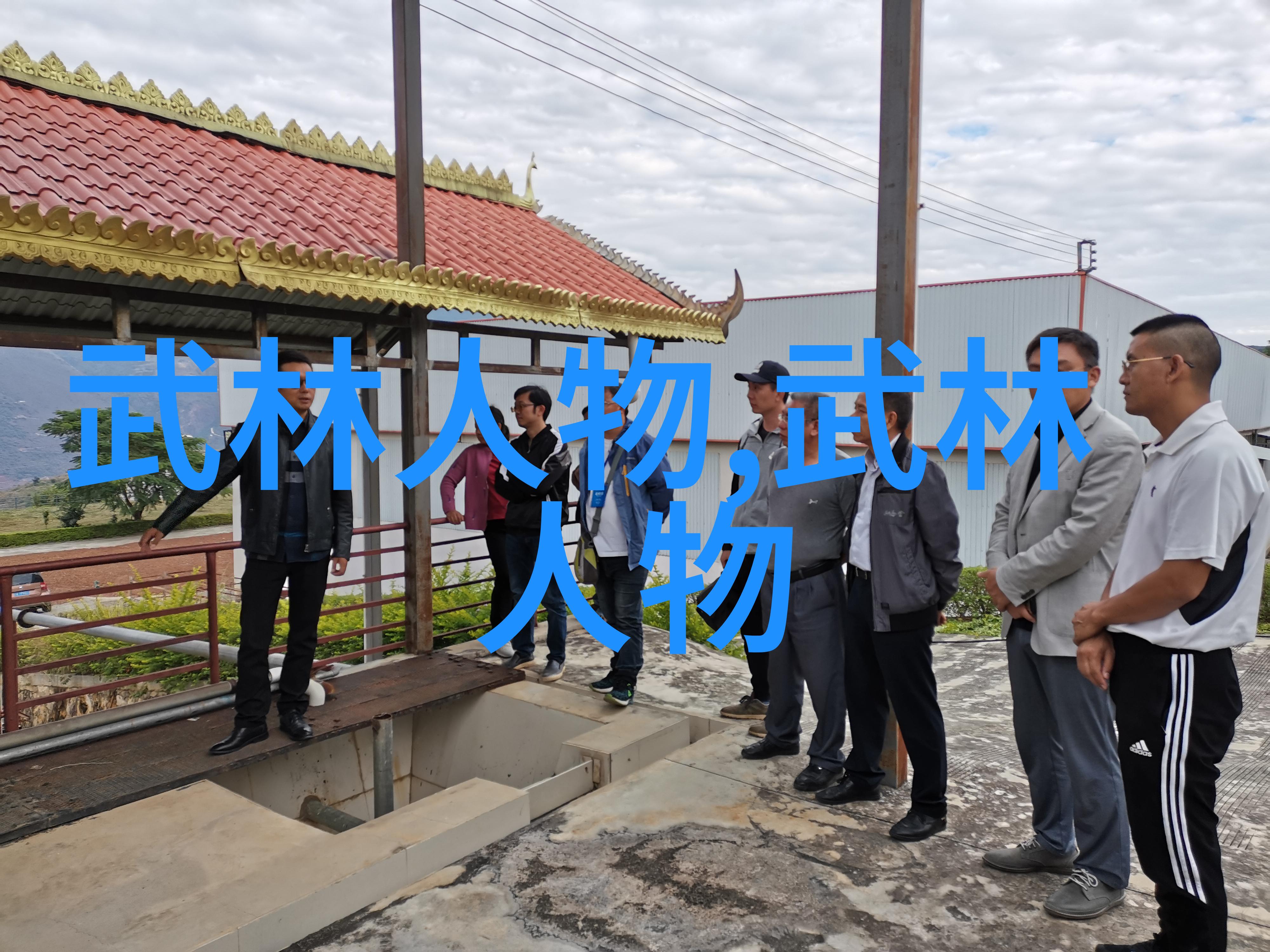 守寡后我重生了从绝望到希望我的逆袭故事