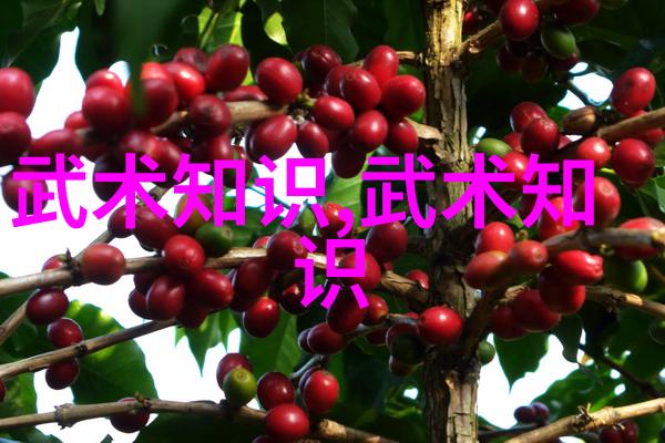 幽梦幽会江湖风云