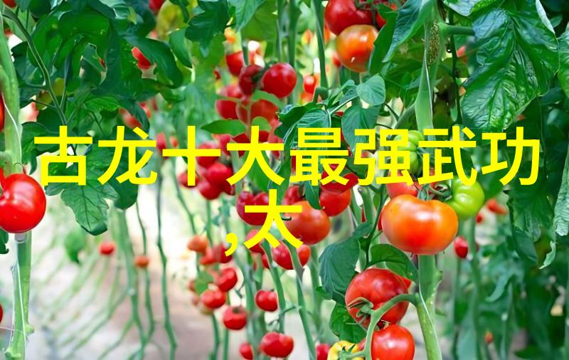 古代武功秘籍排名我看过的那些让人眼前一亮的秘籍