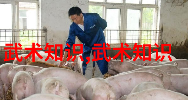 幻境仙盟古风唯美之名