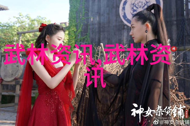 中国武林秘籍集粹探索十大神功之谜
