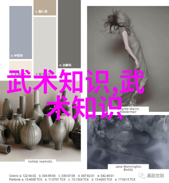 形意拳隐世高手与街头挑战者